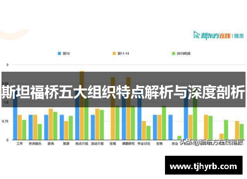 斯坦福桥五大组织特点解析与深度剖析
